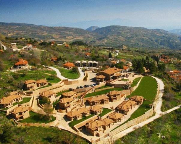 Pliadon Gi Mountain Resort & Spa Kato Sinikia Trikalon Luaran gambar