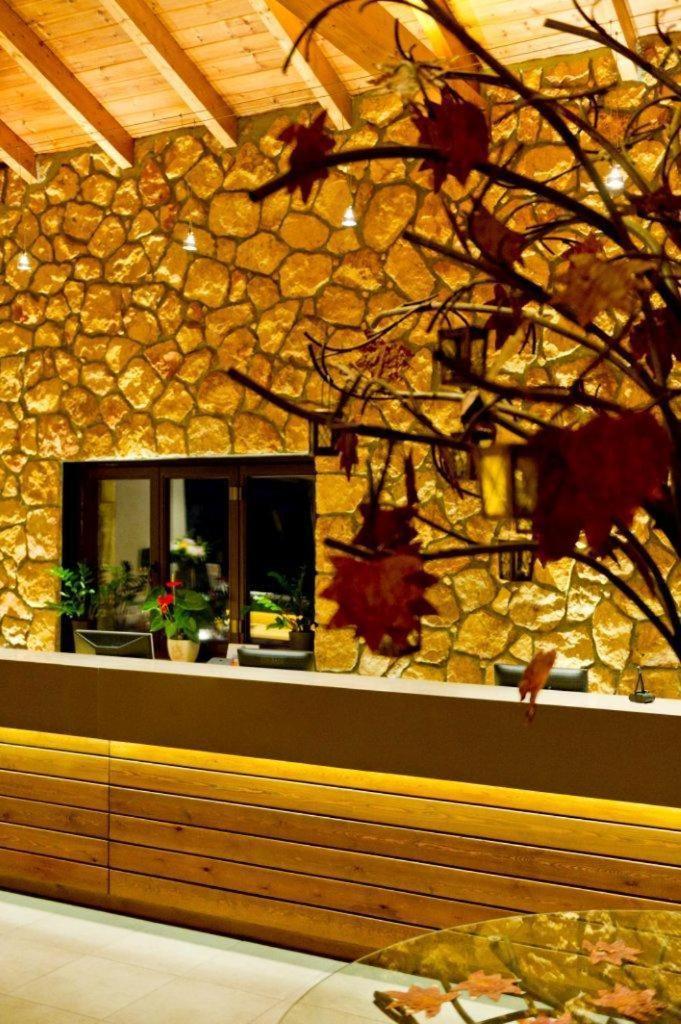 Pliadon Gi Mountain Resort & Spa Kato Sinikia Trikalon Luaran gambar